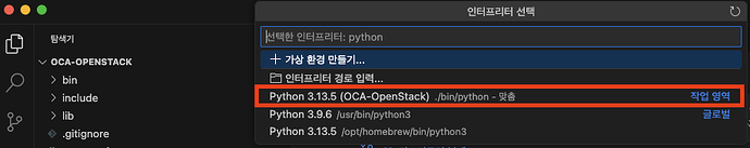 VScode-Insterpreter-select