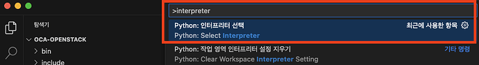 VScode-Interpreter