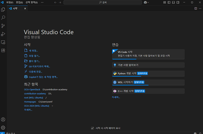 vscode-install-window
